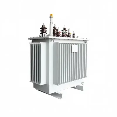 250 kVA 11 kV 0.4 kV oil-immersed distribution transformer