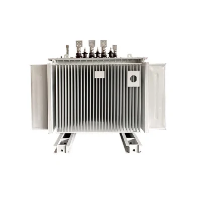 1000KVA Oil-Immersed Transformer